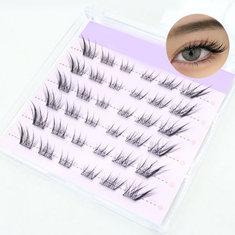 새로운 3D 캣아이 셀프 접착 속눈썹, 가볍고 풍성한  - Eyelash Extension Cat Eye Wispy 리뷰 및 가격