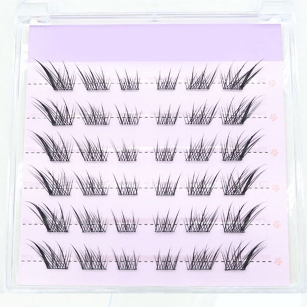 새로운 3D 캣아이 셀프 접착 속눈썹, 가볍고 풍성한  - Eyelash Extension Cat Eye Wispy 리뷰 및 가격